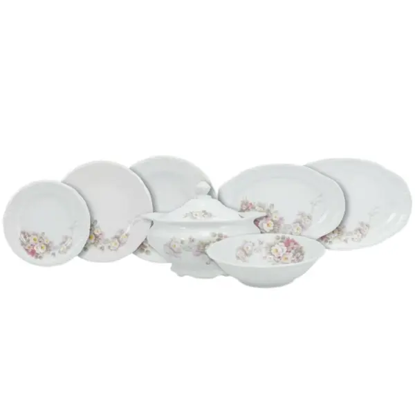 Aparelho de Jantar 41 Peças Porcelana Schmidt - Dec. Eterna E351