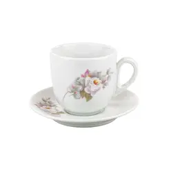 Xícara Chá Com Pires 250ml Porcelana Schmidt - Dec. Eterna Pampa E351