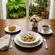 Aparelho Jantar e Chá 30 Peças Porcelana Schmidt - Dec. Vitoria 0397