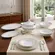 Aparelho de Jantar 41 Peças Porcelana Schmidt - Dec. Vitoria 0397