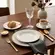 Aparelho Jantar e Chá 20 Peças Porcelana Schmidt - Dec. Araucária 2396