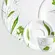 Aparelho Jantar Chá e Café 42 Peças Porcelana Schmidt - Dec. Caioba 2403