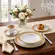 Aparelho Jantar e Chá 30 Peças Porcelana Schmidt - Dec. Topazio Imperial 2442