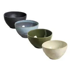 Kit com 4 Bowls Orgânico 558ml em 4 Cores - Porto Brasil