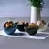 Kit com 4 Bowls Orgânico 558ml em 4 Cores - Porto Brasil