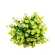 Mini Buquê Decorativo de Flores Amarelas com Folhagem Verde