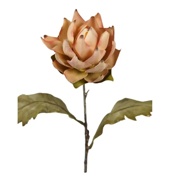 Haste Protea Desidratada Salmão