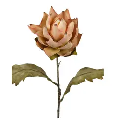 Haste Protea Desidratada Salmão