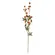 Haste Mamona Espinhosa Outonal Premium