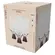Conjunto 4 Taças para Champanhe em Vidro Denali 350ml