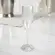 Taça de Champagne em Acrílico Bolhas