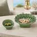 Conjunto com 2 Petisqueiras em Melamina Formato Concha Verde