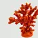 Coral Decorativo Laranja em Resina