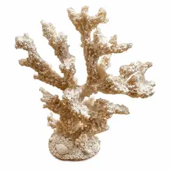 Coral Decorativo Branco em Resina
