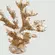 Coral Decorativo Branco em Resina