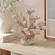 Coral Decorativo Branco em Resina