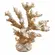 Coral Decorativo Branco em Resina