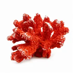 Coral Decorativo Pequeno Laranja em Resina