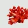 Coral Decorativo Pequeno Laranja em Resina