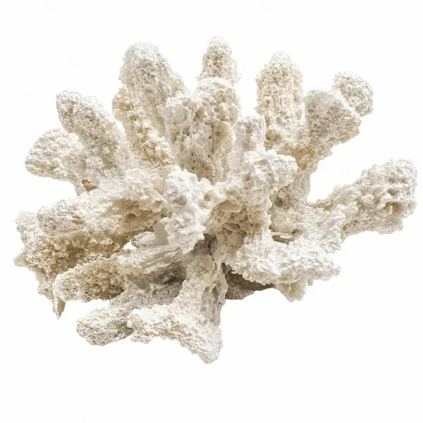 Coral Decorativo Pequeno Branco em Resina