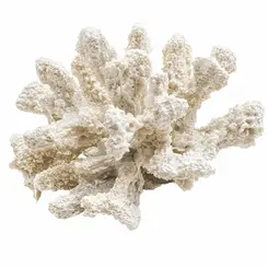Coral Decorativo Pequeno Branco em Resina