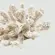 Coral Decorativo Pequeno Branco em Resina