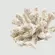Coral Decorativo Pequeno Branco em Resina