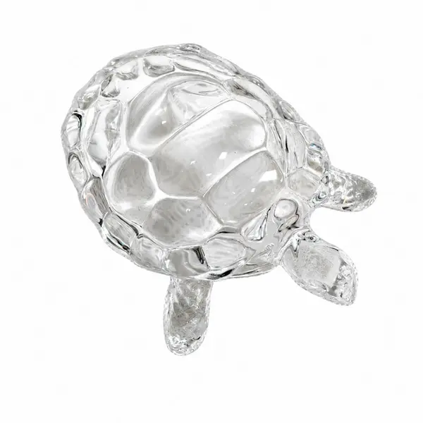 Tartaruga de Vidro Pequena