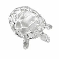 Tartaruga de Vidro Pequena