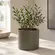 Cachepot Verde de Metal