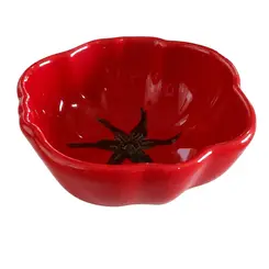 Bowl Tomate de Cerâmica