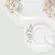 Aparelho Jantar e Chá 30 Peças Porcelana Schmidt - Dec. E005 Romântica Prisma 2ª Linha