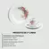Aparelho Jantar e Chá 30 Peças Porcelana Schmidt - Dec. Roseira Real R017 2ª Linha