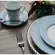 Aparelho Jantar e Chá 30 Peças Porcelana Schmidt - Dec. Diva 2276