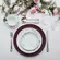 Aparelho Jantar e Chá 30 Peças Porcelana Schmidt - Dec. Tereza 2347