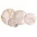 Aparelho Jantar e Chá 30 Peças Porcelana Schmidt - Dec. Cambuí 2399